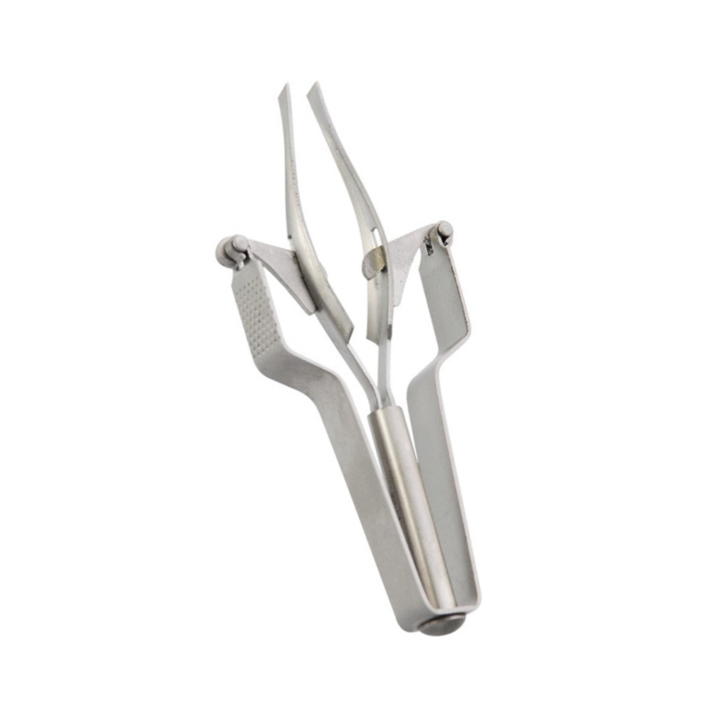 beauty tweezer